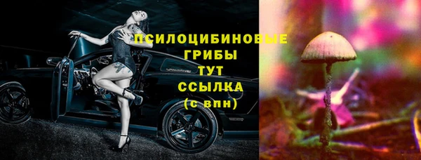 синтетический гашиш Новодвинск