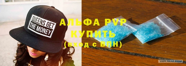 гашик Новокубанск