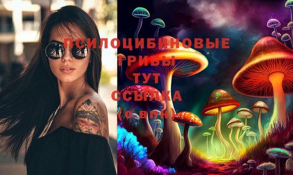 синтетический гашиш Новодвинск