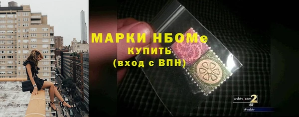 индика Верея