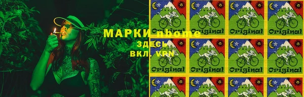 гашик Новокубанск