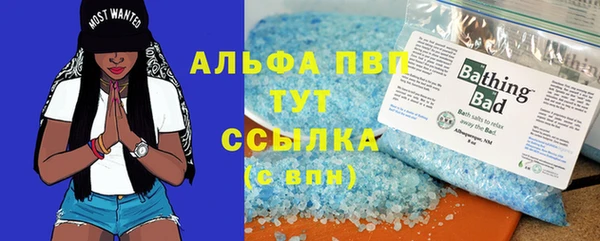 гашик Новокубанск