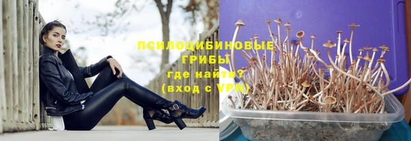 синтетический гашиш Новодвинск