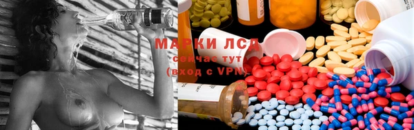 ALPHA-PVP Новозыбков